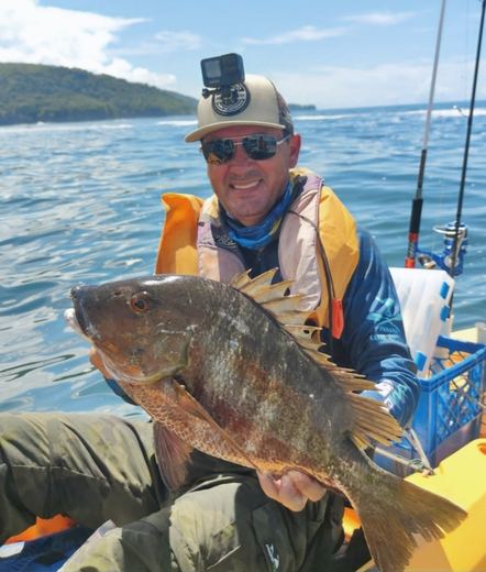 Rock Snapper