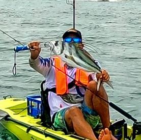 Roosterfish