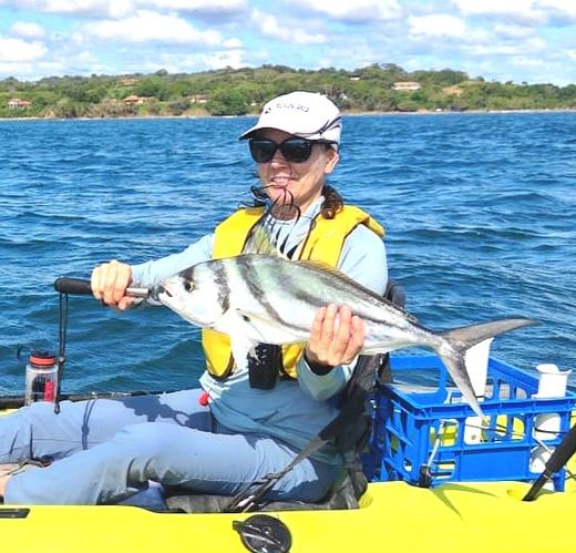 Roosterfish