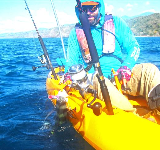 Roosterfish