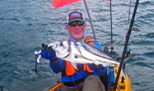 Roosterfish