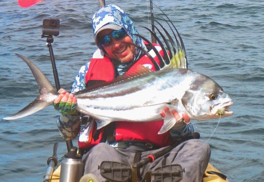 Roosterfish