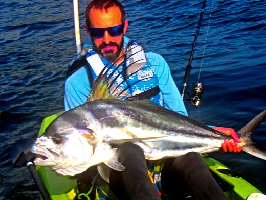 Roosterfish