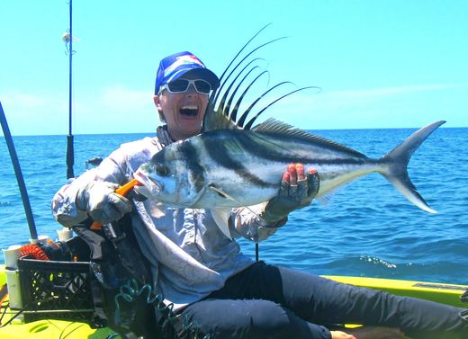 Roosterfish