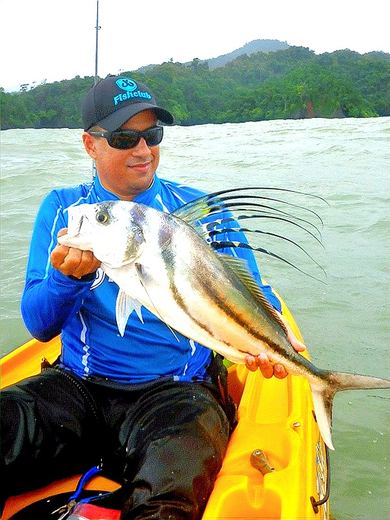 Roosterfish