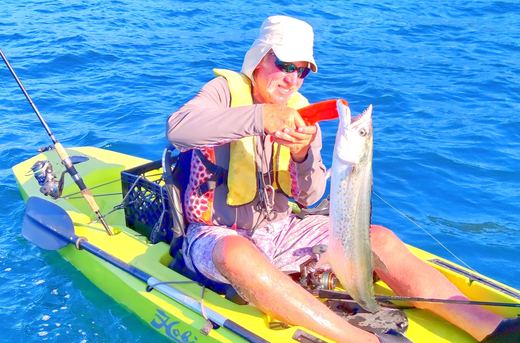 Sierra Mackerel