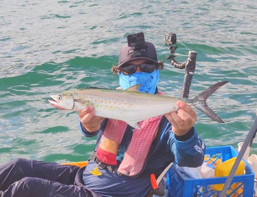 Sierra Mackerel