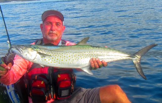 Sierra Mackerel