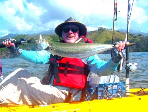 Sierra Mackerel
