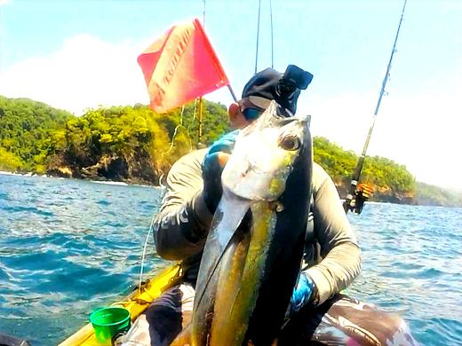 Tuna