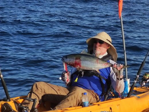 Tuna