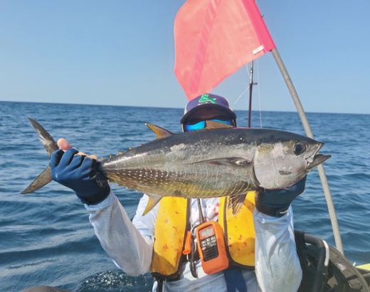 Tuna