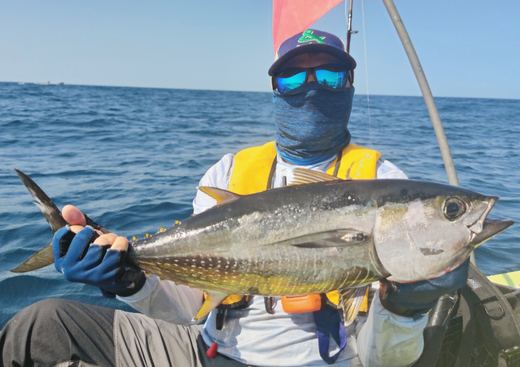 Tuna