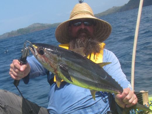 Tuna