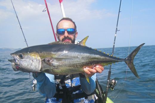 Tuna