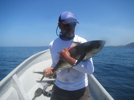 Other species