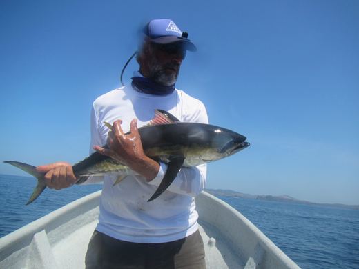 Other species