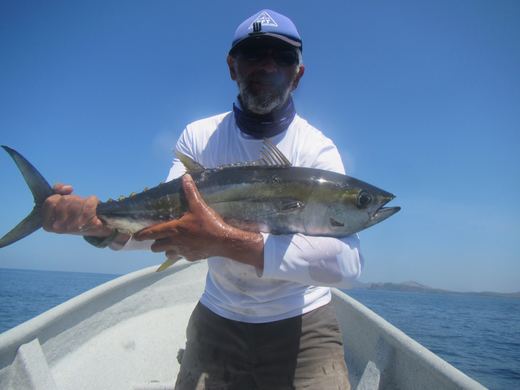 Other species