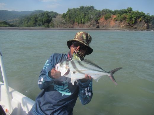 Other species