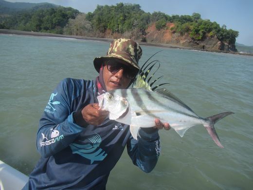 Other species
