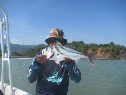 Other species