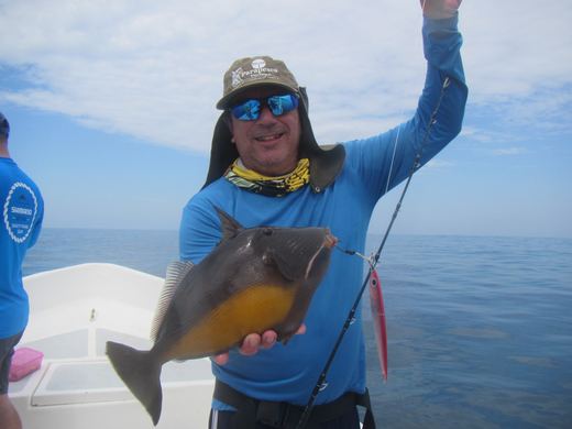 Other species