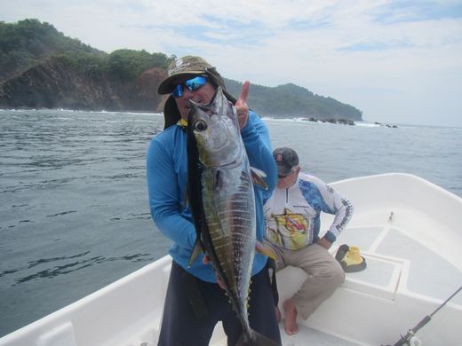 Other species