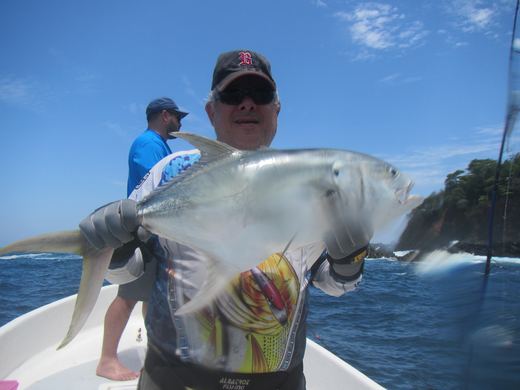 Other species