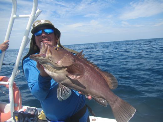Other species