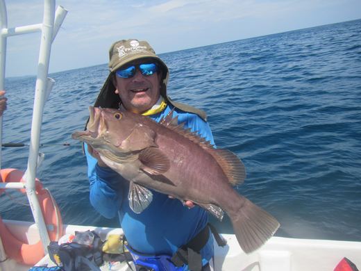 Other species