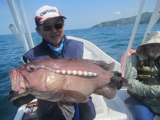 Other species