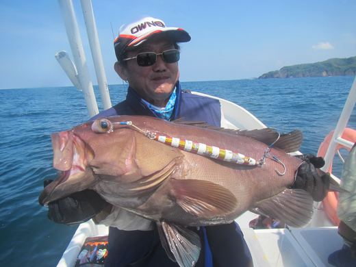 Other species