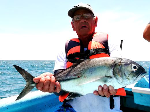Bigeye Jack