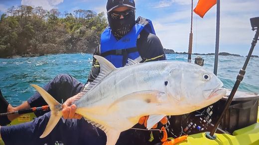 Jack Crevalle