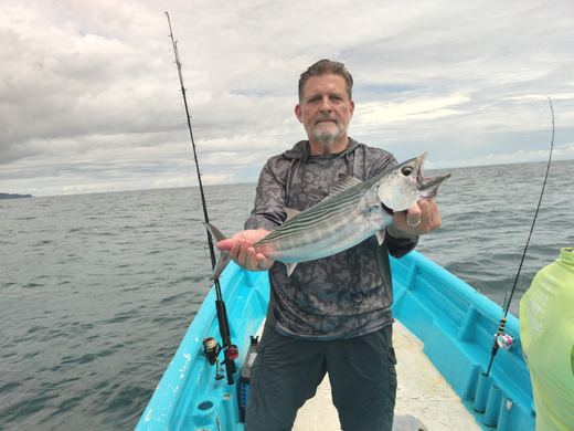Other species