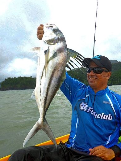 Roosterfish