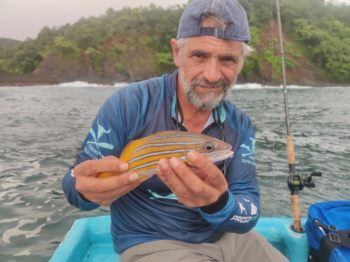 Roque Freitas