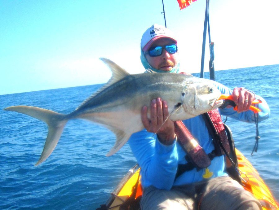 Jack crevalle