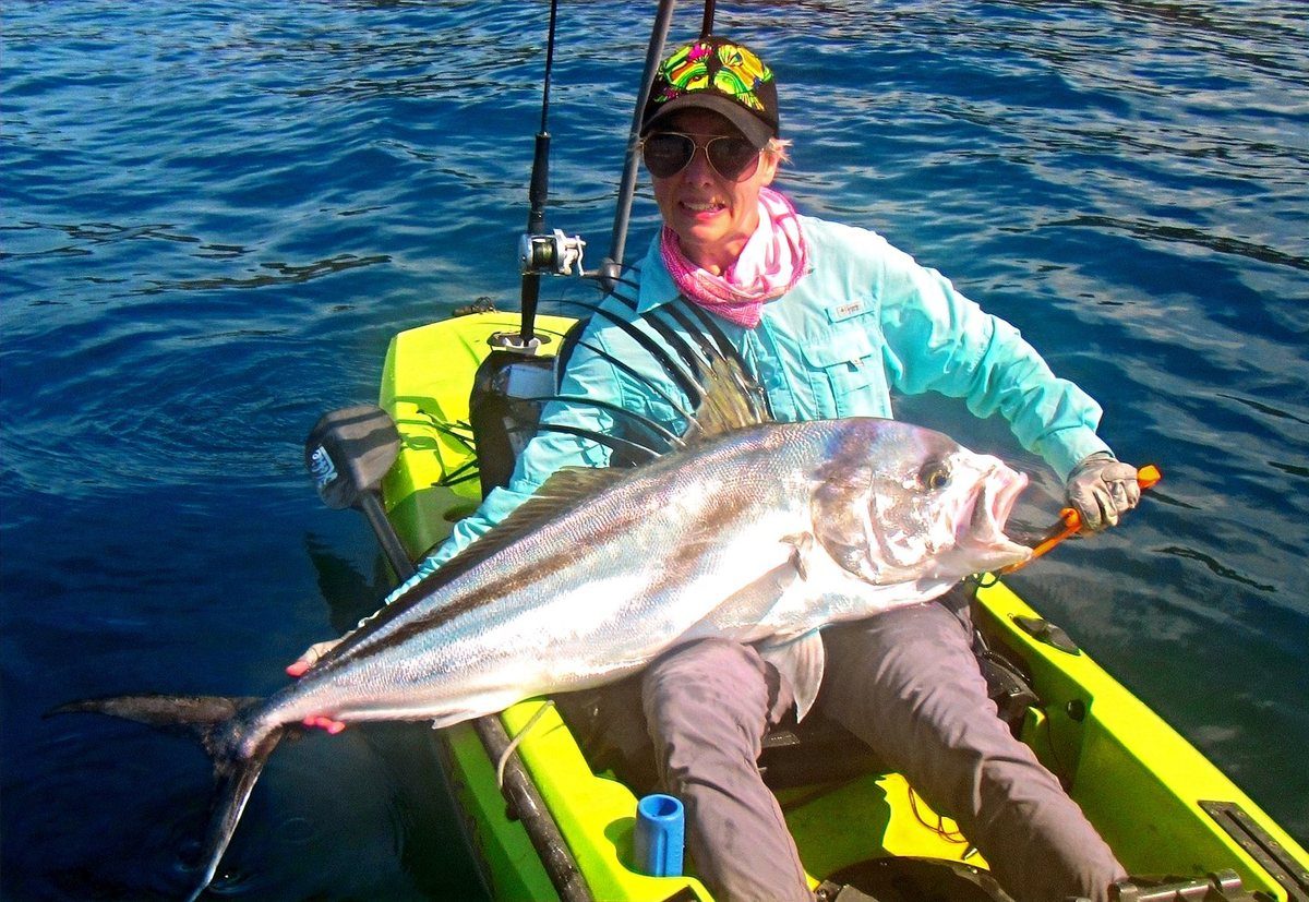 Roosterfish