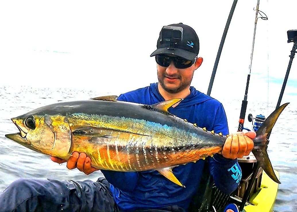 Yellowfin tuna