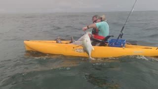 kayak