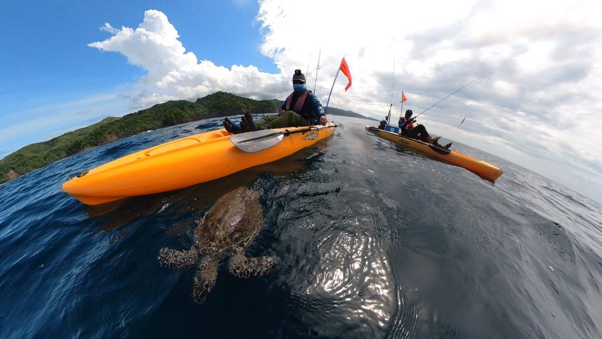 A turtle crossing in front of the kayak